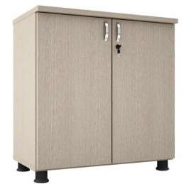 Tủ tài liệu SM6220