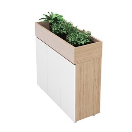 Tủ tài liệu gỗ TG02-3C